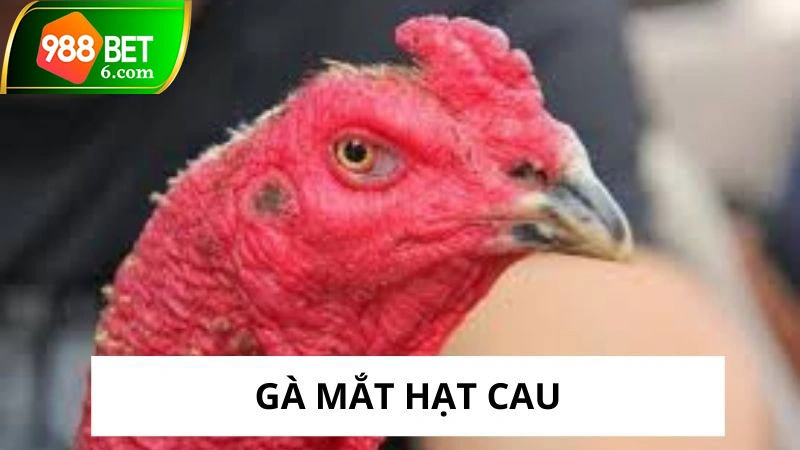 ga mat hat cau thumb
